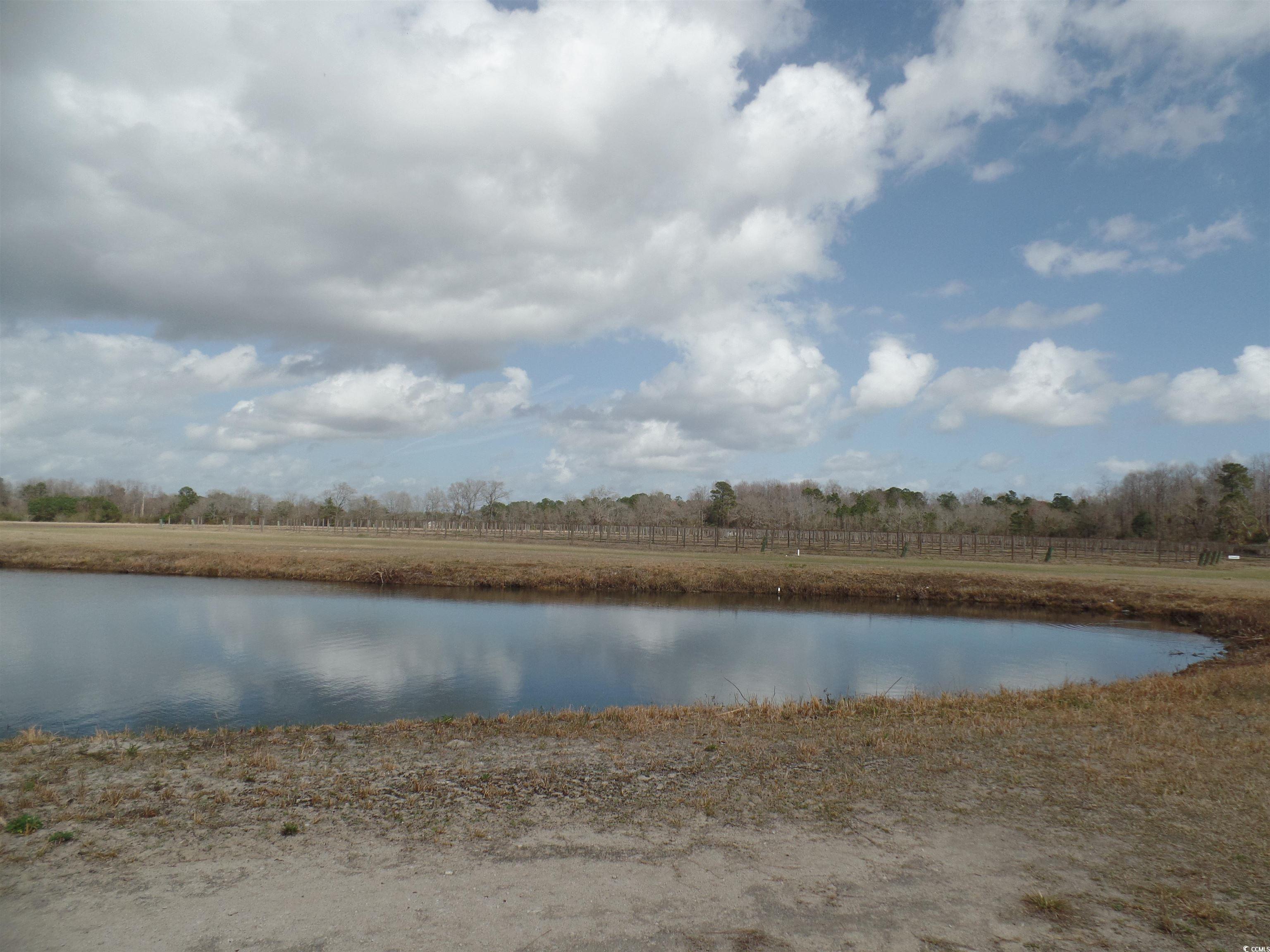 1717 Heritage Road Loris, SC 29569 - Photo 2 of 36