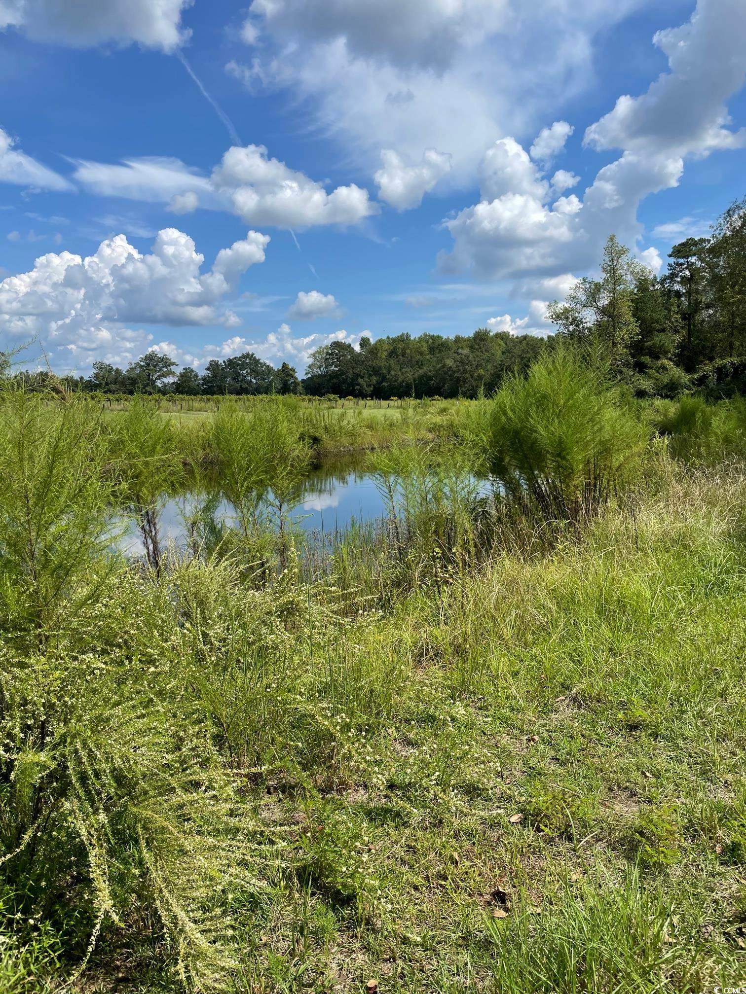 1717 Heritage Road Loris, SC 29569 - Photo 22 of 36