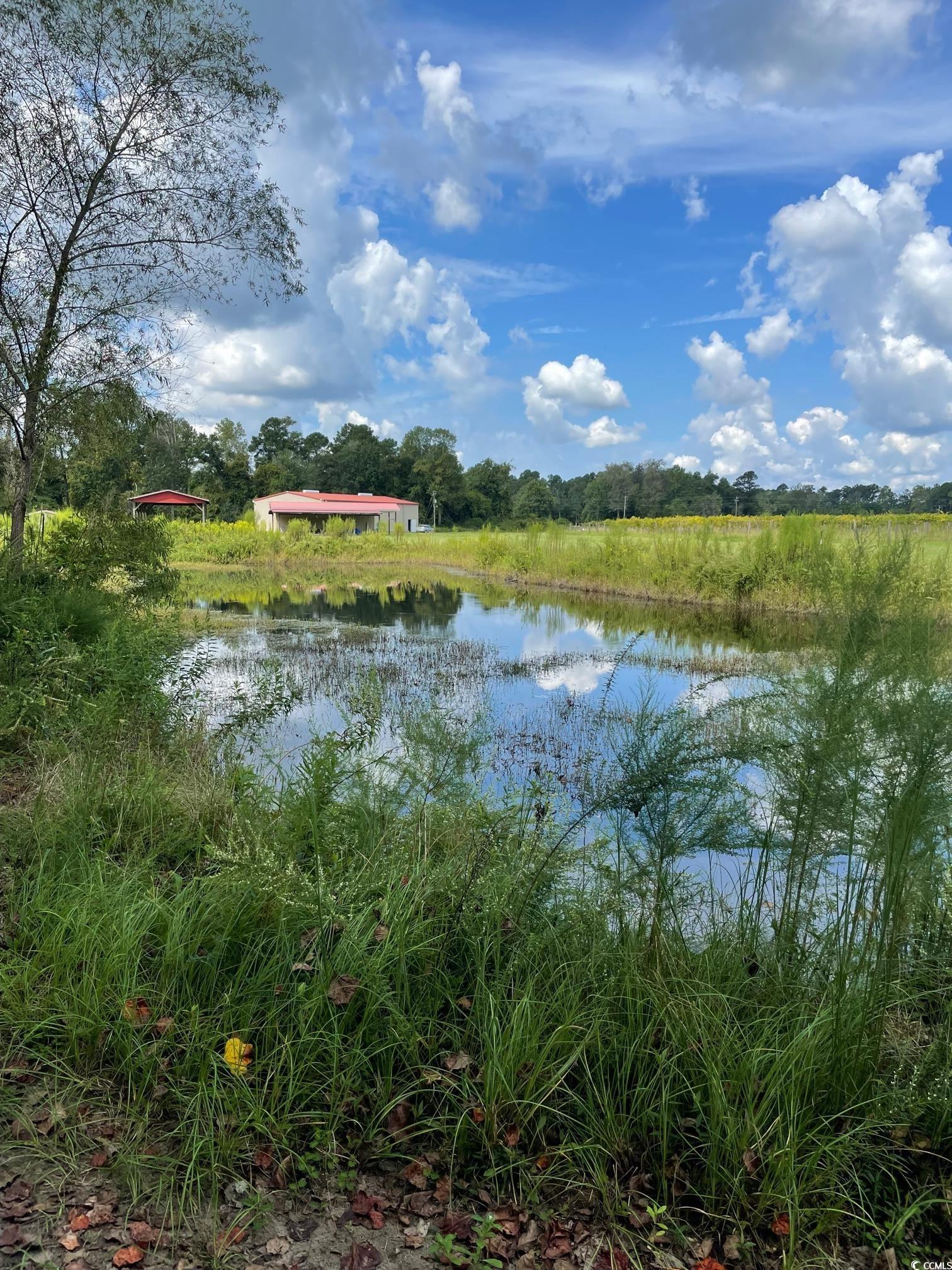 1717 Heritage Road Loris, SC 29569 - Photo 23 of 36
