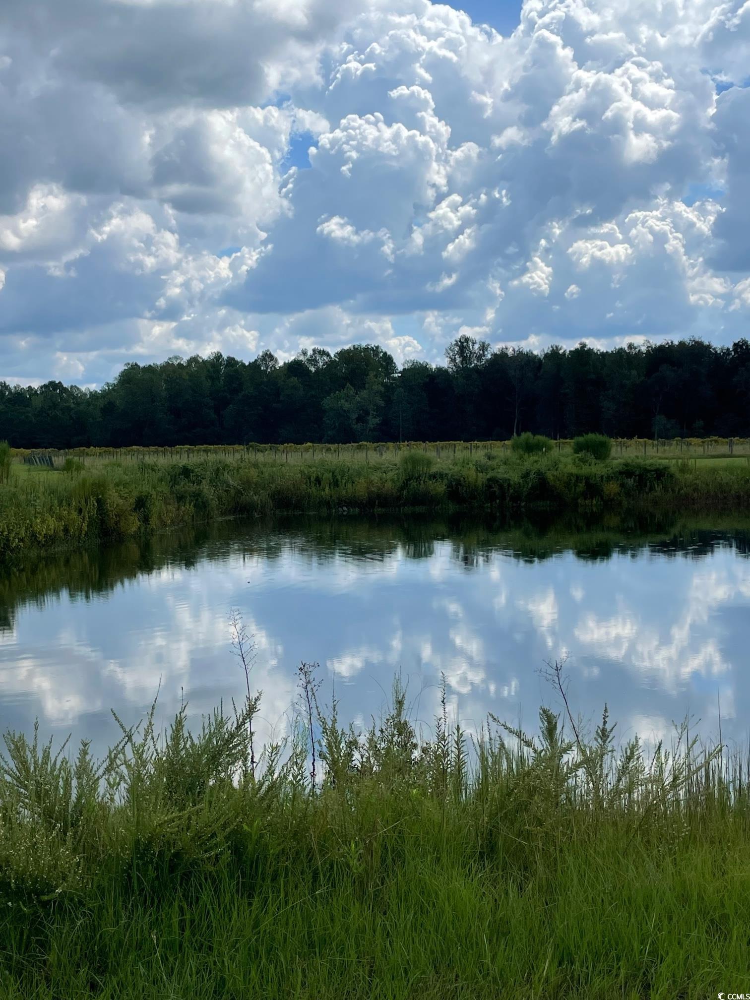 1717 Heritage Road Loris, SC 29569 - Photo 26 of 36