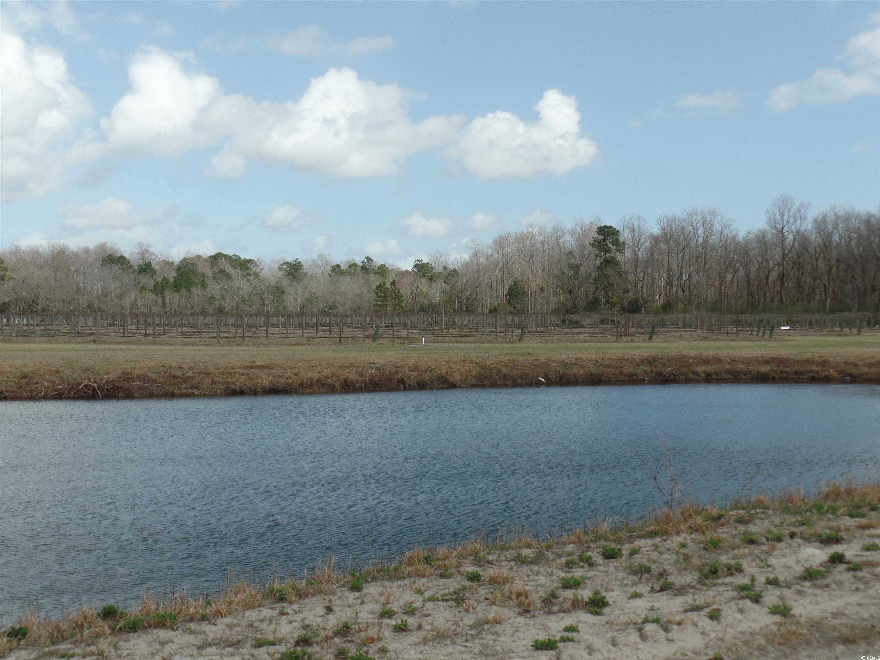 1717 Heritage Road Loris, SC 29569 - Photo 3 of 36