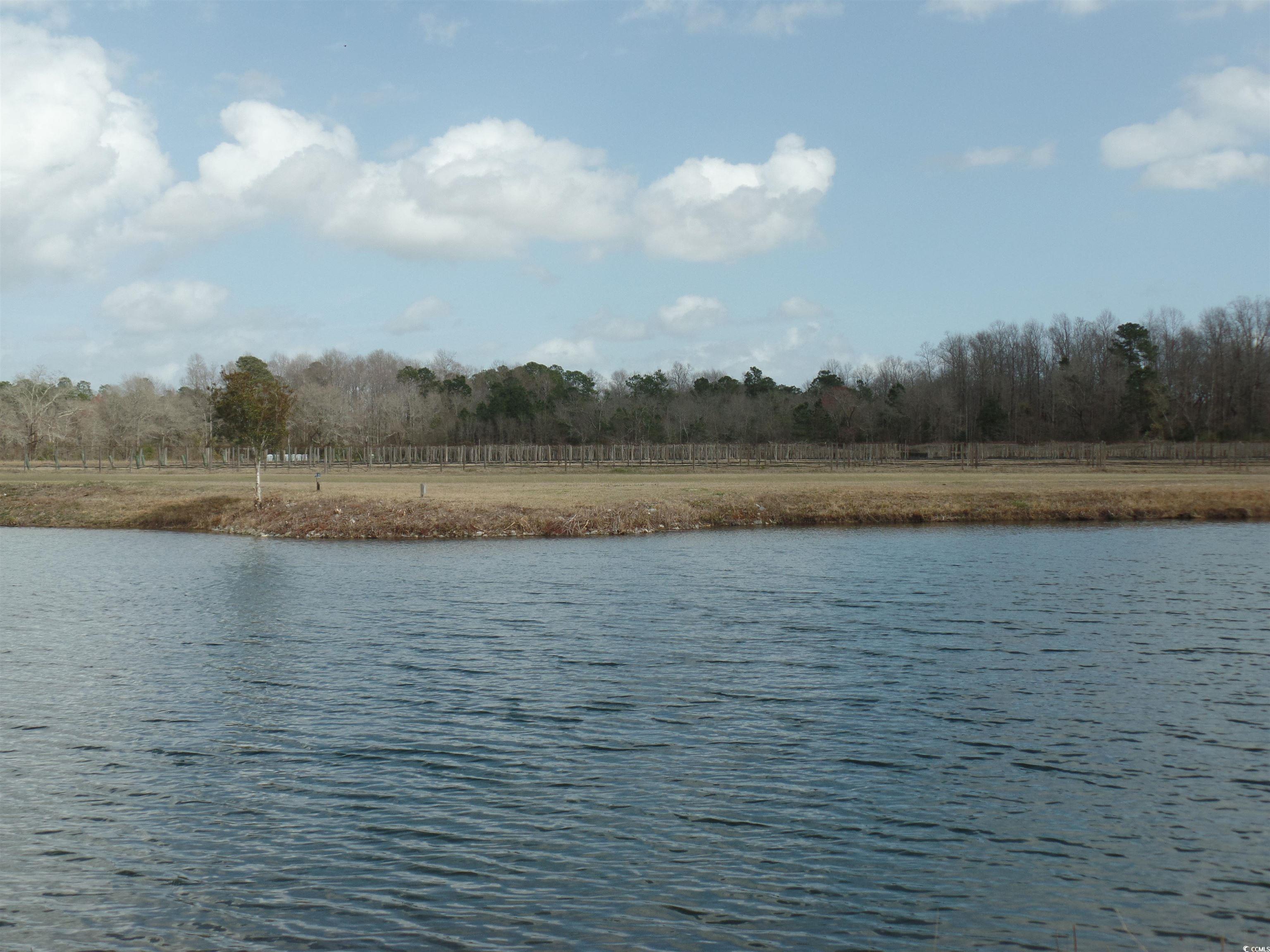 1717 Heritage Road Loris, SC 29569 - Photo 5 of 36