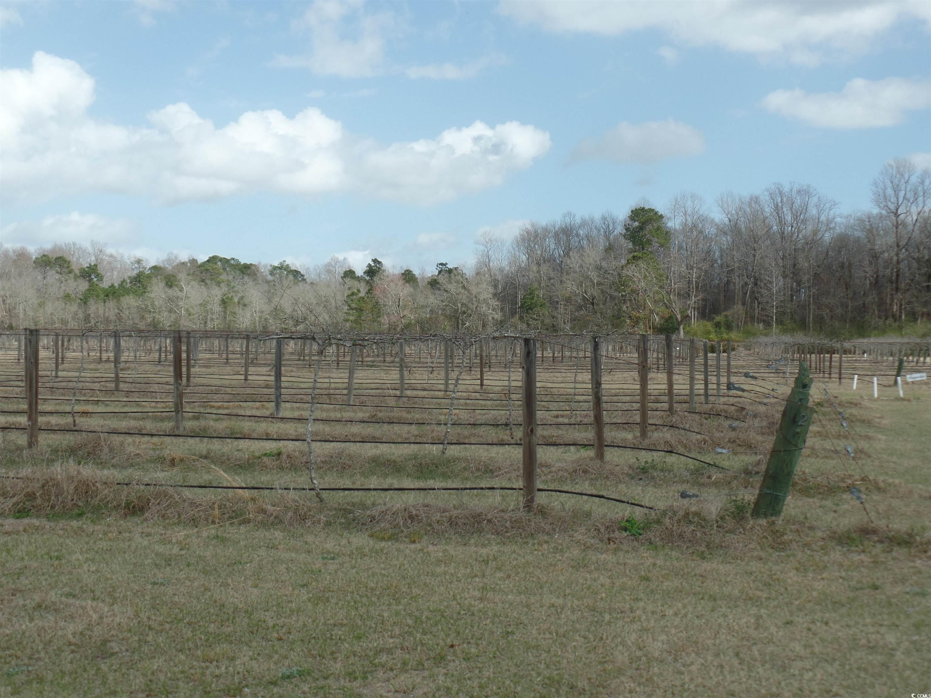 1717 Heritage Road Loris, SC 29569 - Photo 7 of 36