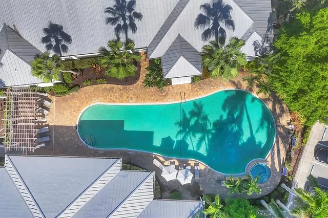 a view of a backyard with plants