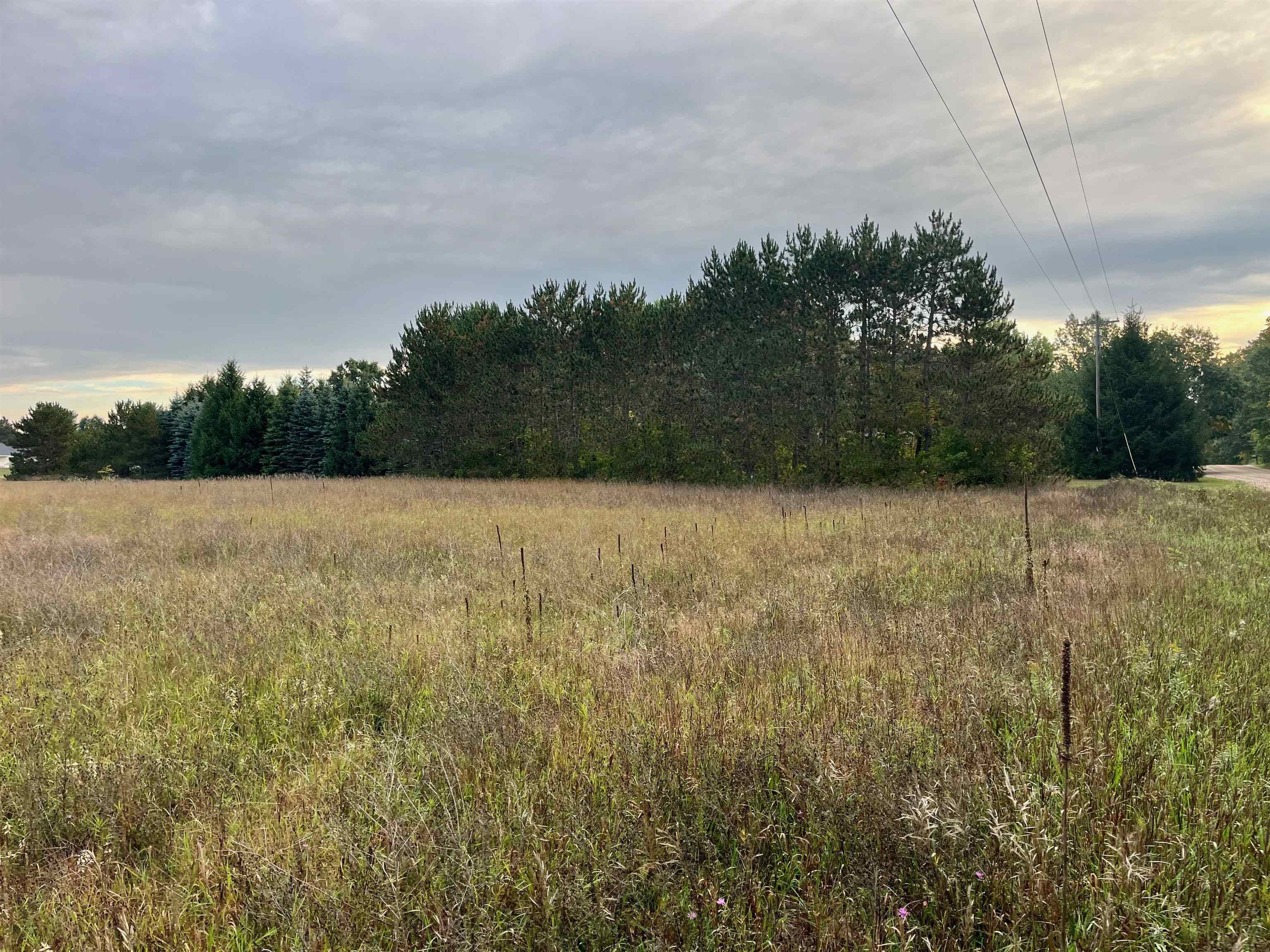0 Fowler Road, Unit LOT: B Lake Ann, MI 49650 - Photo 5 of 6
