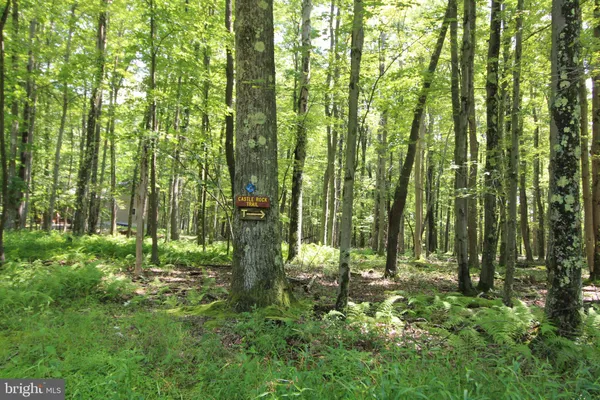$214,500 | 1218 East Alpine Drive, Terra Alta, WV 26764