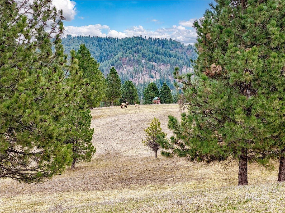 6 East Beck Road Garden Valley, ID 83622 - Photo 43 of 44 Mountain view with a forest