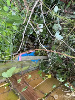 $300,000 | 607 East Illinois Street, Bellingham, WA 98225