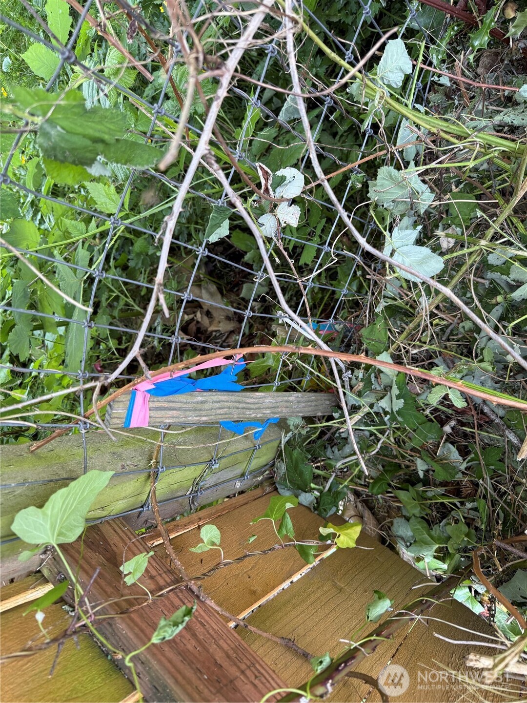 607 East Illinois Street Bellingham, WA 98225 - Photo 8 of 11