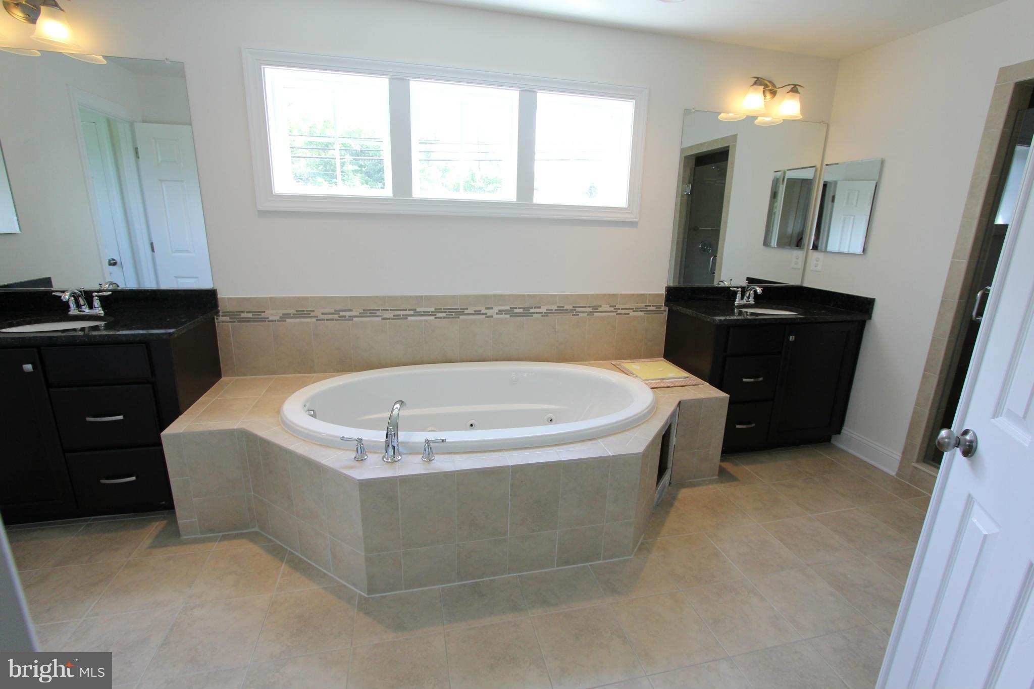 29 Old Bonifant Road Silver Spring, MD 20904 - Photo 20 of 28 Bath (Master)