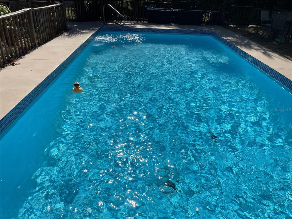 280 Southwest Ridgewood Road Dunnellon, FL 34431 - Photo 22 of 77