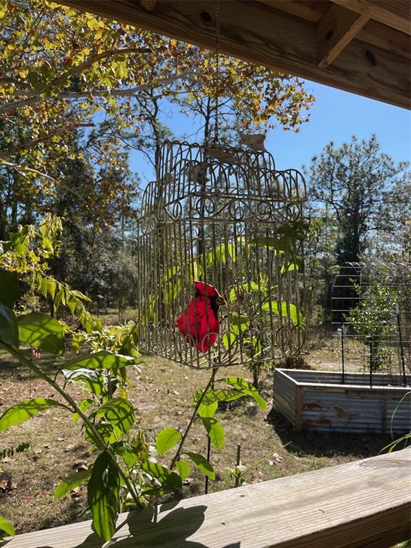 280 Southwest Ridgewood Road Dunnellon, FL 34431 - Photo 42 of 77