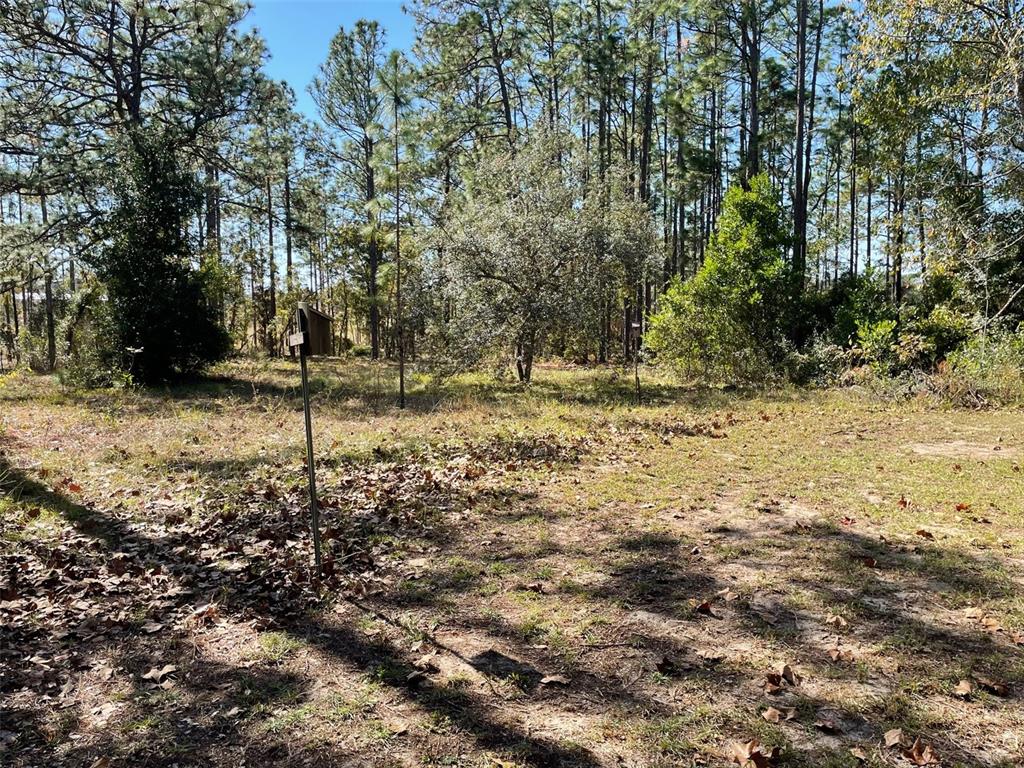 280 Southwest Ridgewood Road Dunnellon, FL 34431 - Photo 44 of 77