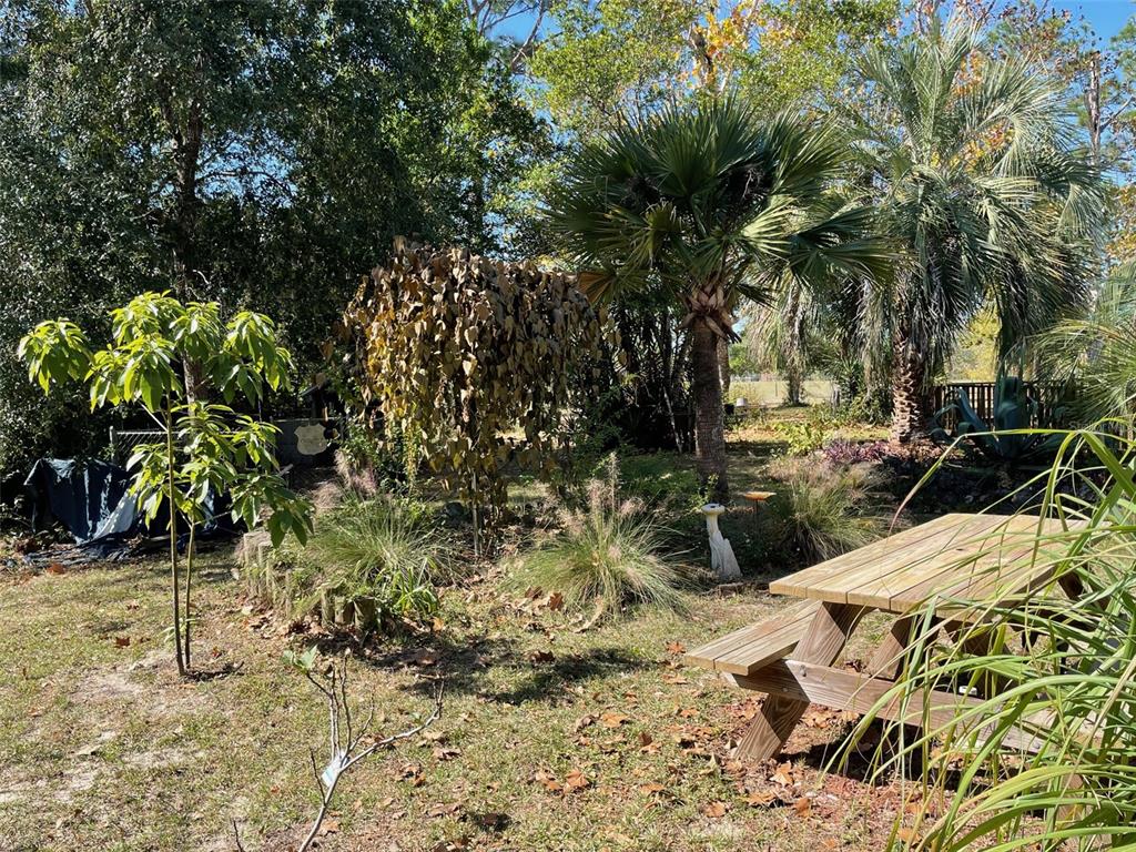 280 Southwest Ridgewood Road Dunnellon, FL 34431 - Photo 46 of 77