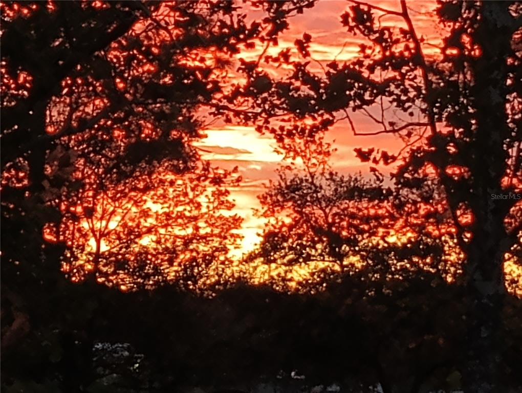 280 Southwest Ridgewood Road Dunnellon, FL 34431 - Photo 48 of 77