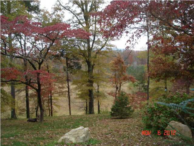 1762 North Marble Top Road Chickamauga, GA 30707 - Photo 4 of 7 Additional Photo