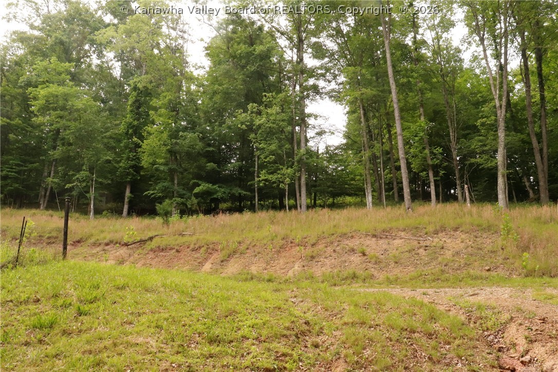 1849 Three Mile Road Elkview, WV 25071 - Photo 43 of 47 Gallery Image 43