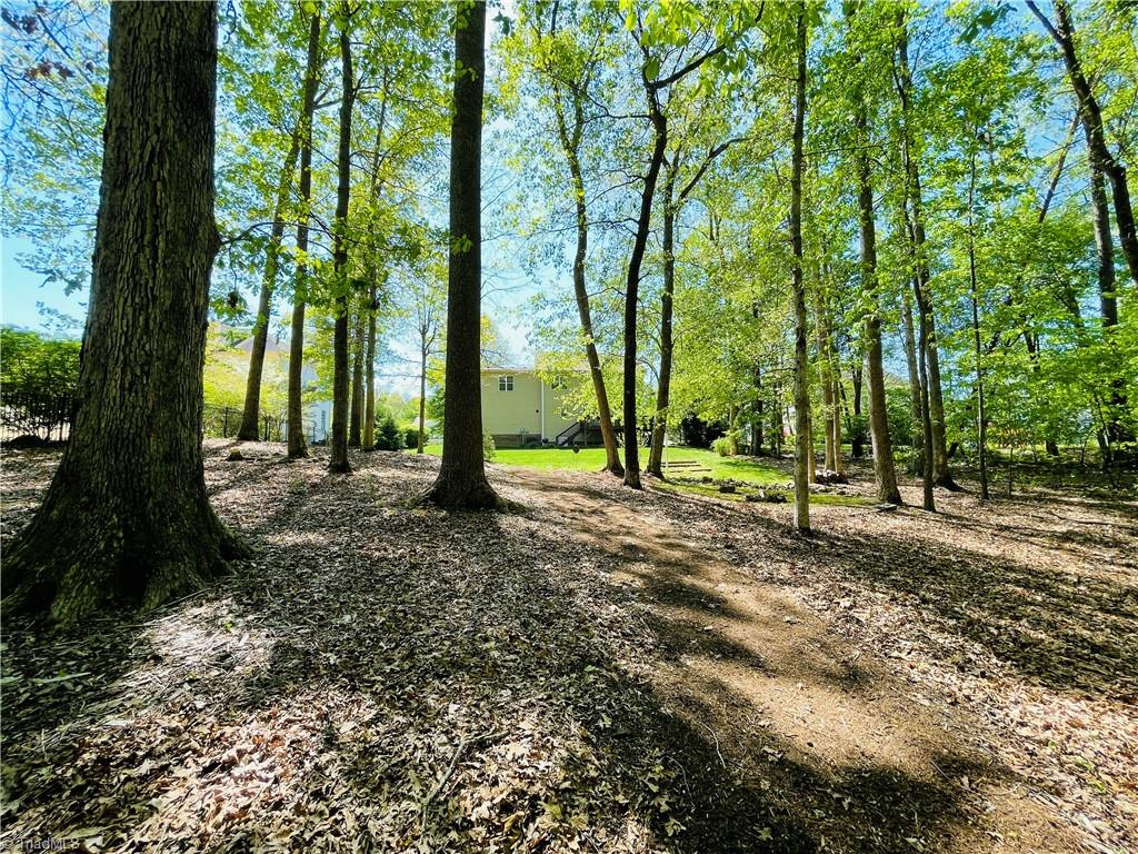 7818 Wilson Farm Road Summerfield, NC 27358 - Photo 31 of 50 Partially wooded lot, great space to explore