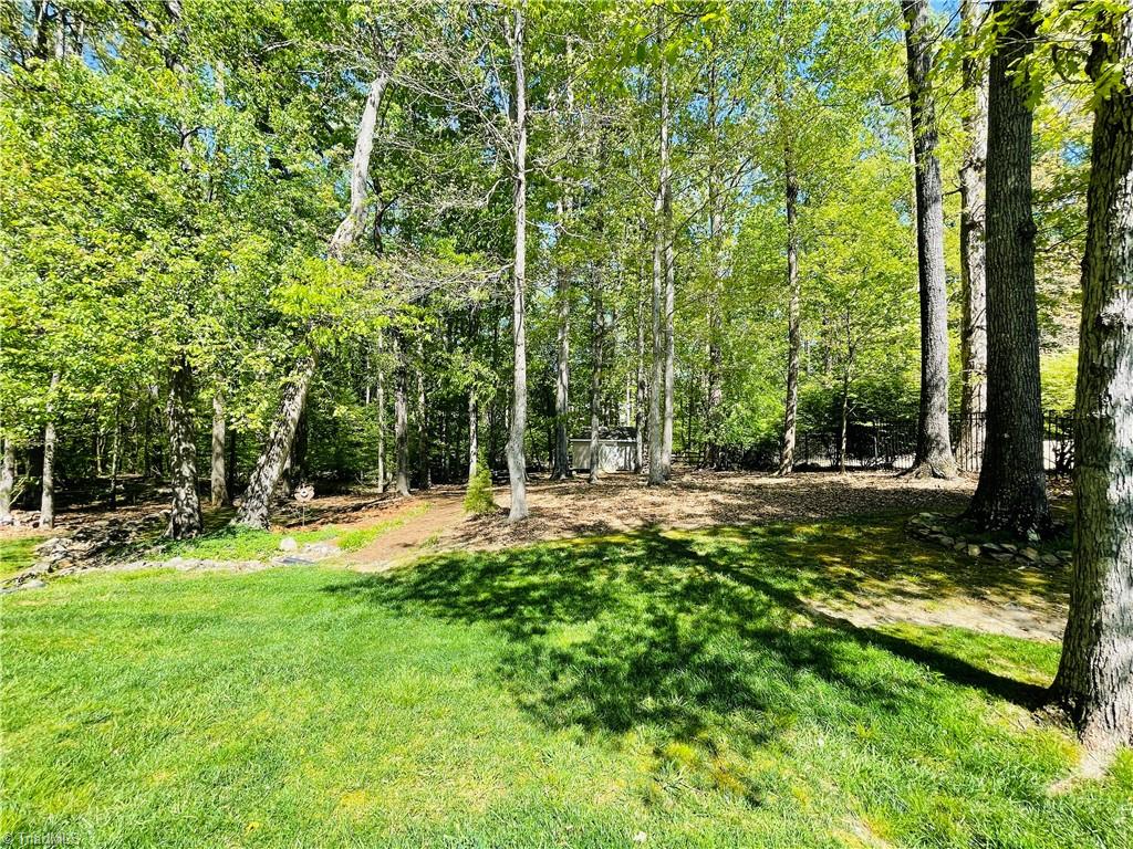 7818 Wilson Farm Road Summerfield, NC 27358 - Photo 33 of 50 The perfect backyard, enough open space and wooded area to enjoy nature