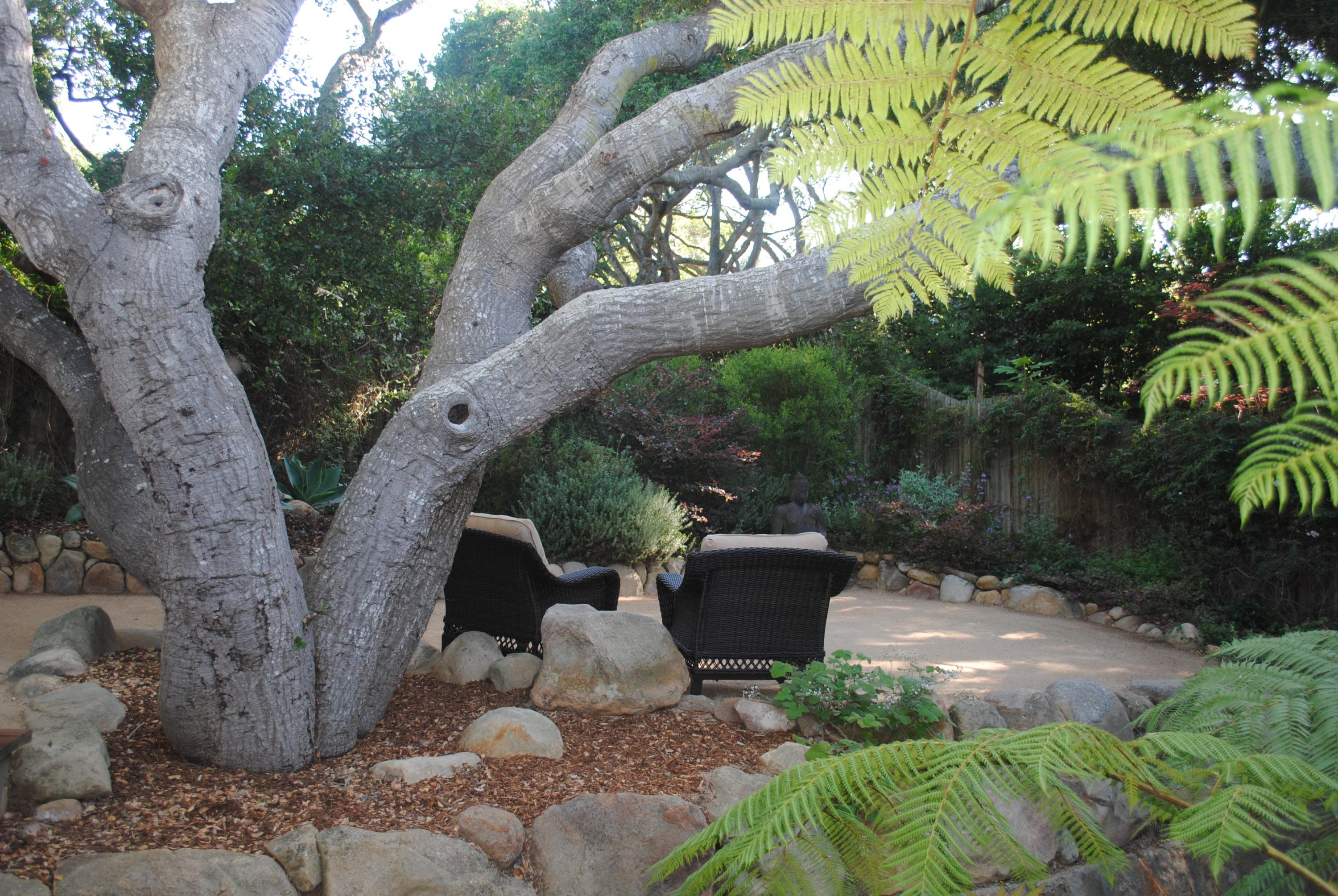 548 San Ysidro Road, Unit A Santa Barbara, CA 93108 - Photo 5 of 25 Backyard Garden