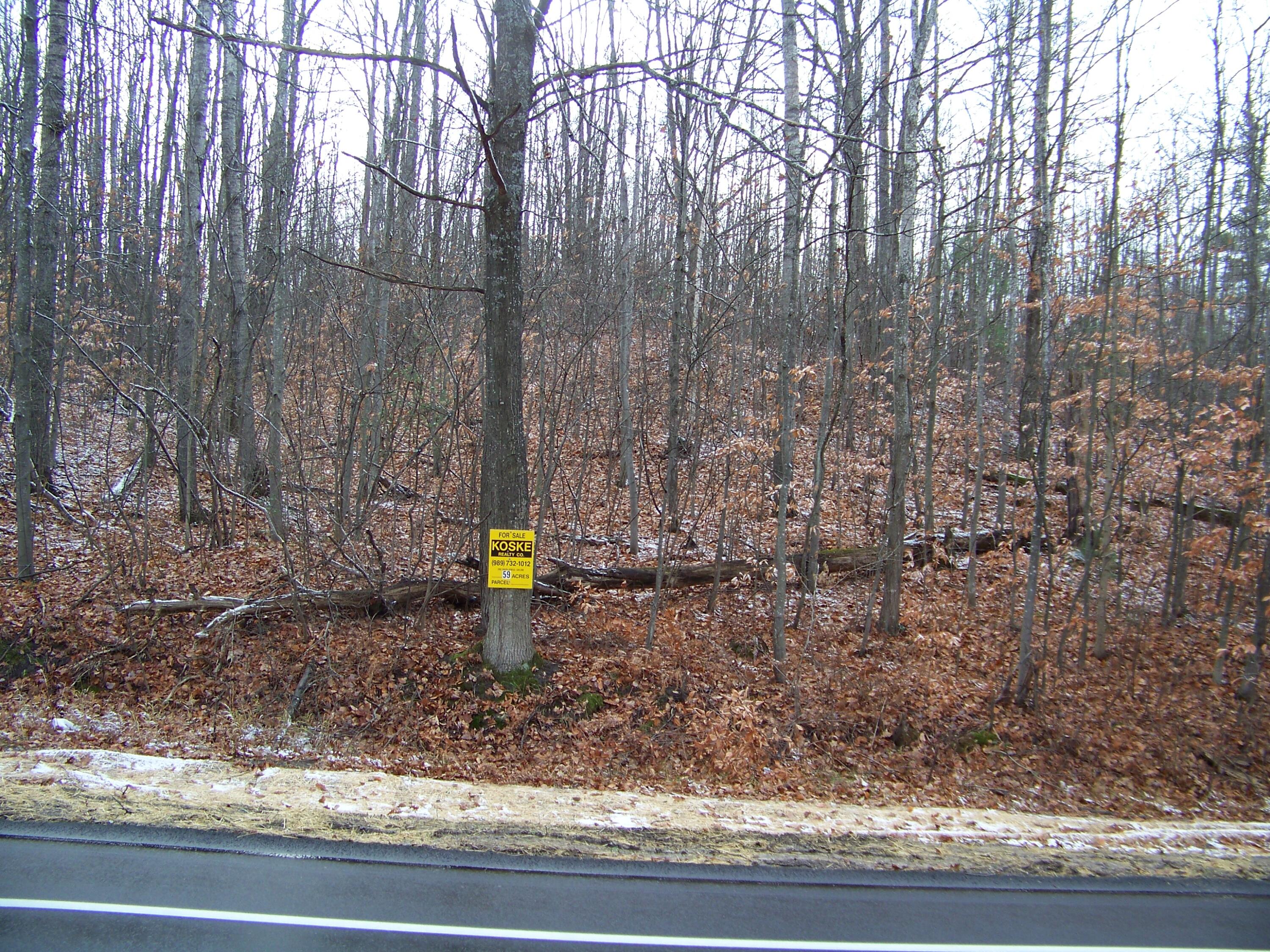 Marlette Road Frederic, MI 49733 - Photo 20 of 25 Gallery Image 20