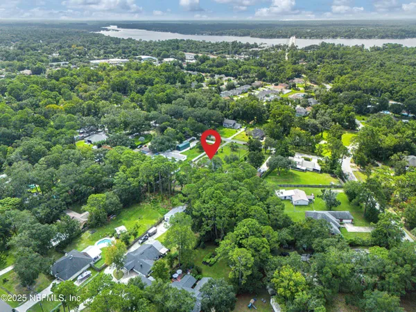 a view of a bunch of trees in a yard
