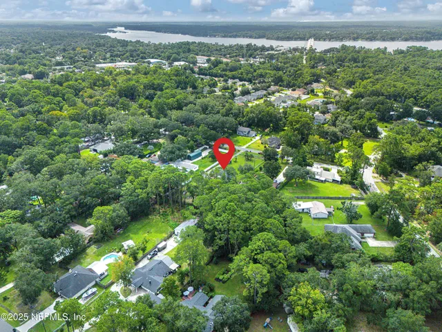 a view of a bunch of trees in a yard