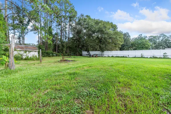 a backyard of a house with plants and large trees