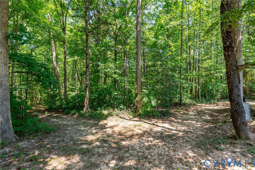 197 Goshen Road Cumberland, VA 23040 - Photo 55 of 70 Wooded property featuring mature deciduous trees a
