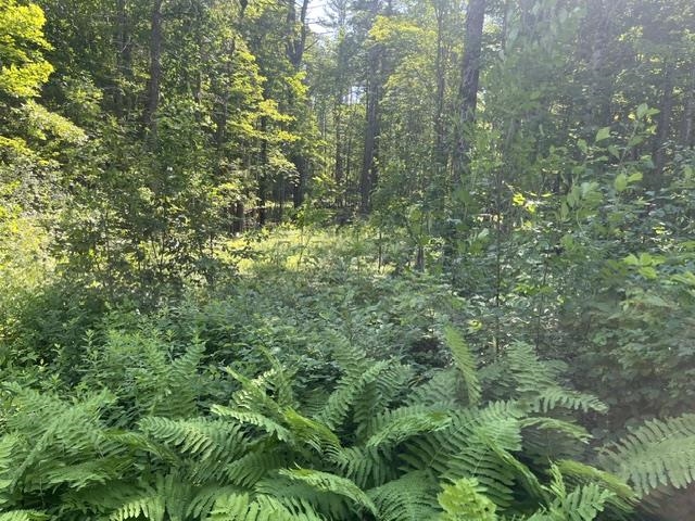 3.3 Bean Road Plainfield, NH 03781 - Photo 2 of 3