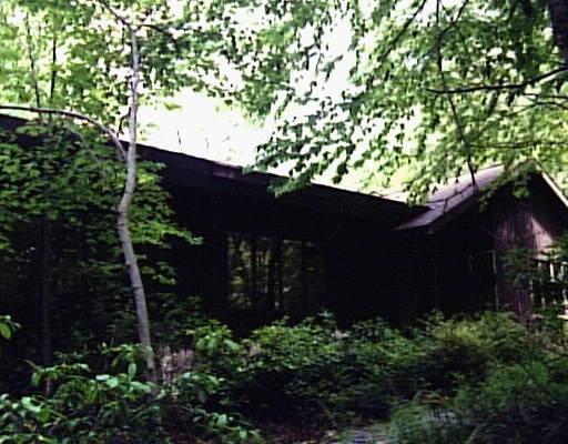17 Mine Hill Road Roxbury, CT 06783 - Photo 1 of 1 a backyard of a house with lots of green space