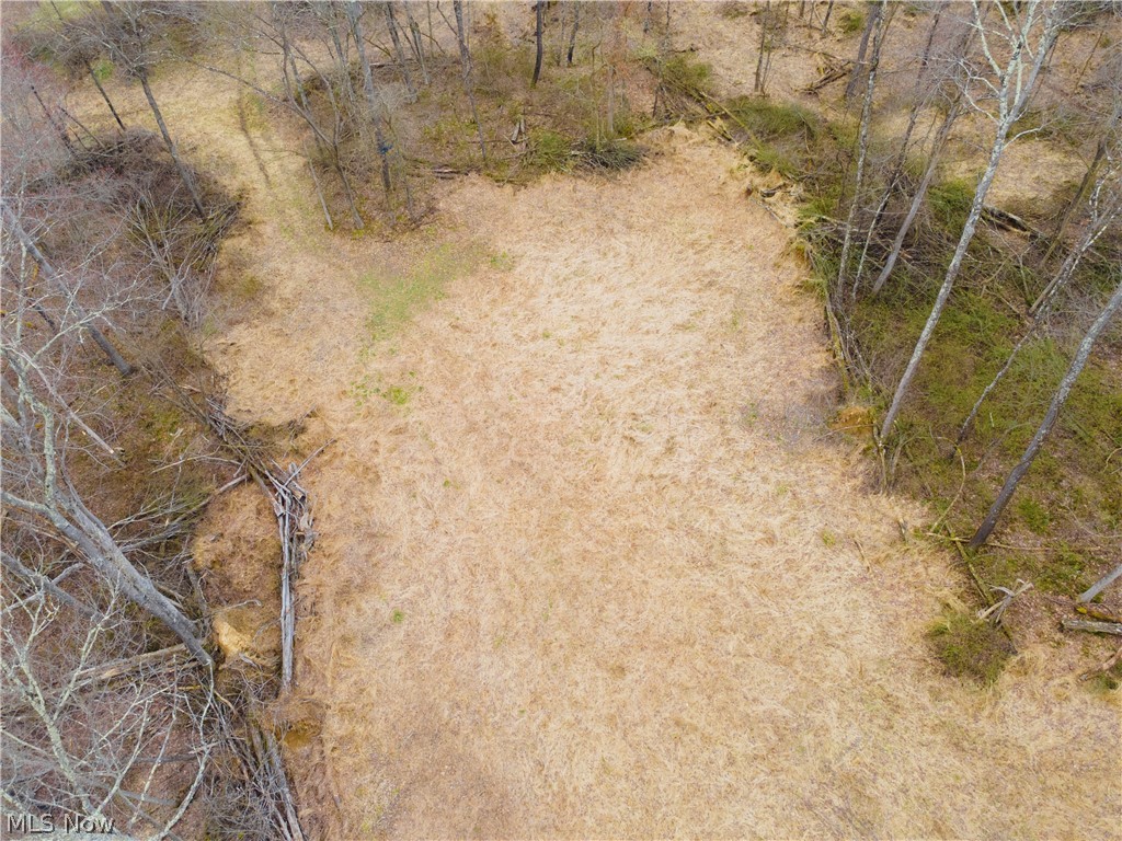 71 Township Road Killbuck, OH 44637 - Photo 9 of 39
