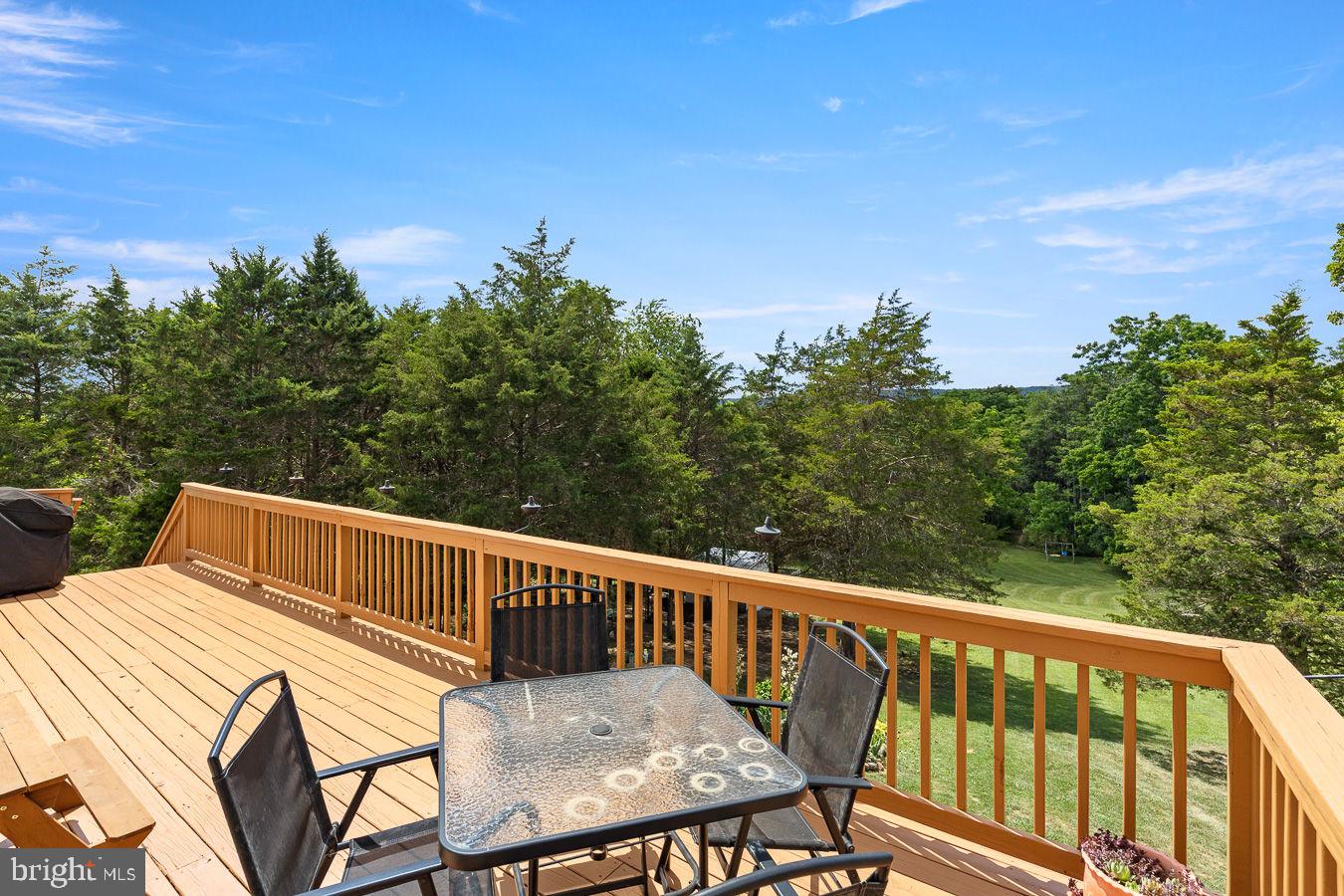 1233 Country Brook Road Toms Brook, VA 22660 - Photo 10 of 52