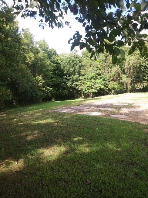 Lot Cedar Cedar Hill Road Edmonton, KY 42129 - Photo 4 of 4 Gallery Image 4