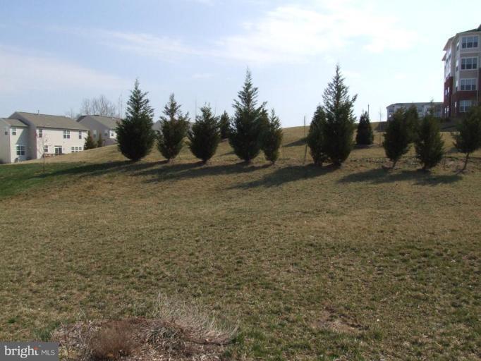 18505 Cornflower Road Boyds, MD 20841 - Photo 19 of 20 Exterior (Rear)