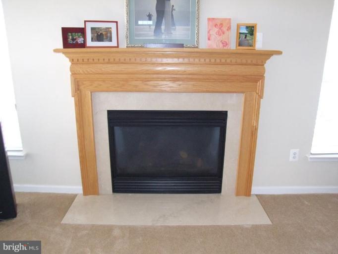 18505 Cornflower Road Boyds, MD 20841 - Photo 7 of 20 Fireplace