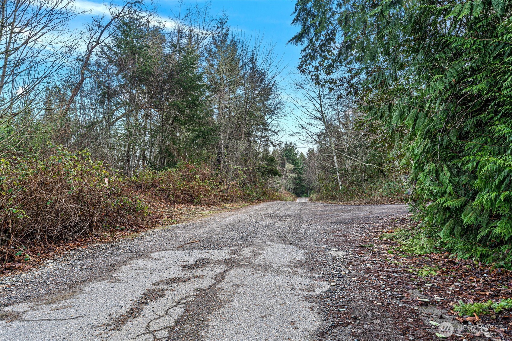 45 Whiteman Road Southwest Lakebay, WA 98351 - Photo 6 of 15 a view of a yard with large trees