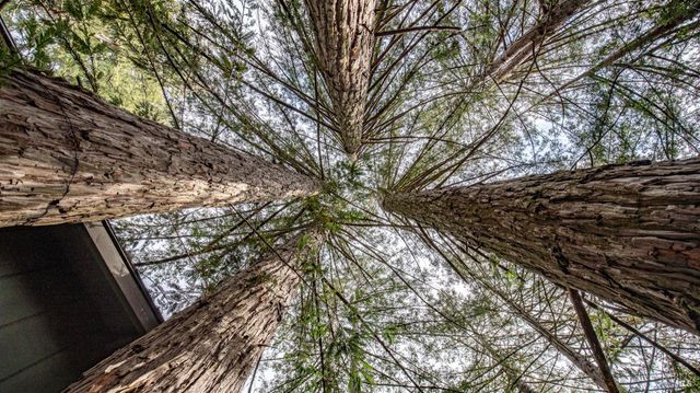 $1,490,000 | 7456-7460 Sir Francis Drake Boulevard, Lagunitas, CA 94938