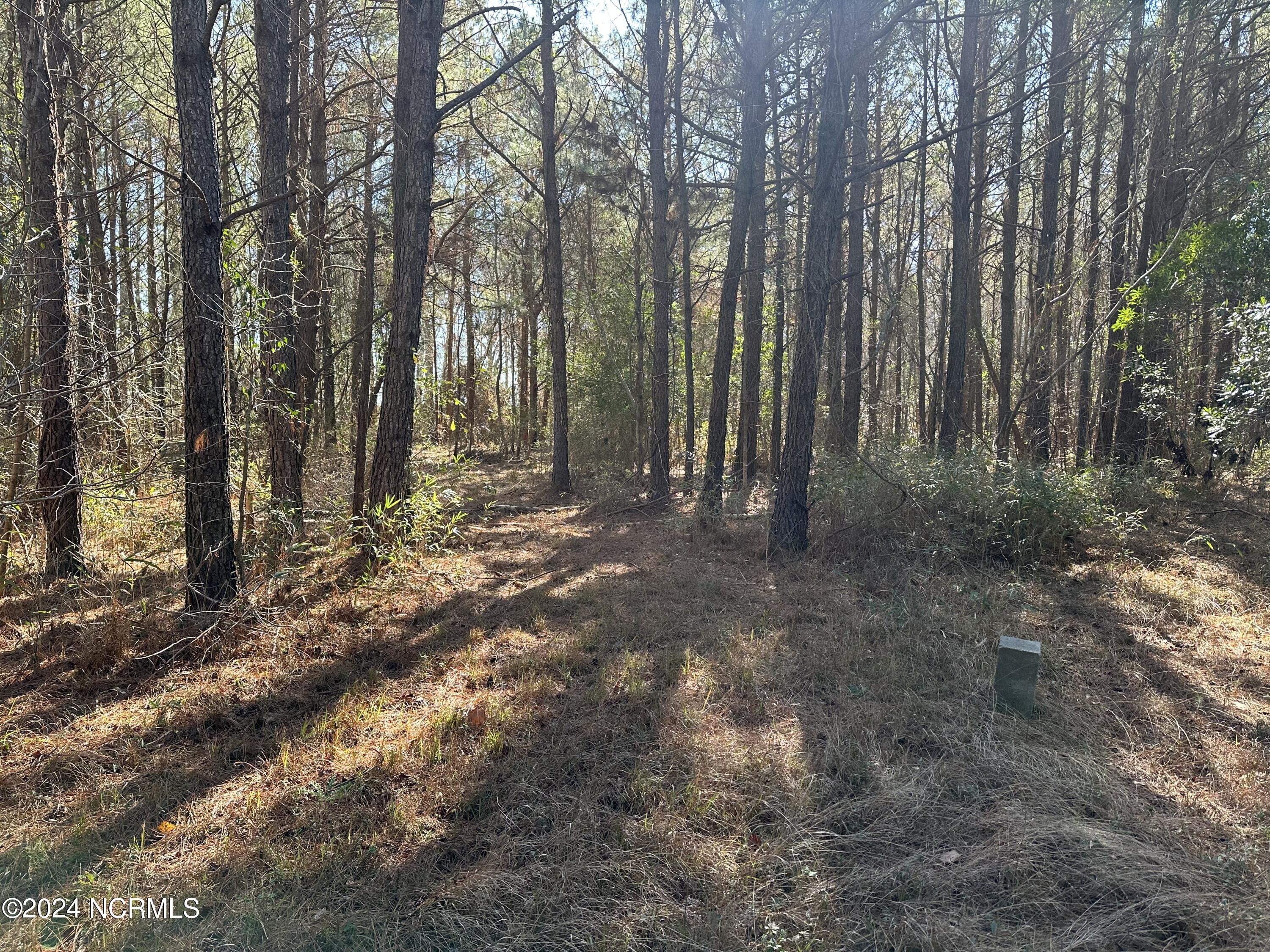132 Pocosin Road Washington, NC 27889 - Photo 1 of 4 IMG_2948