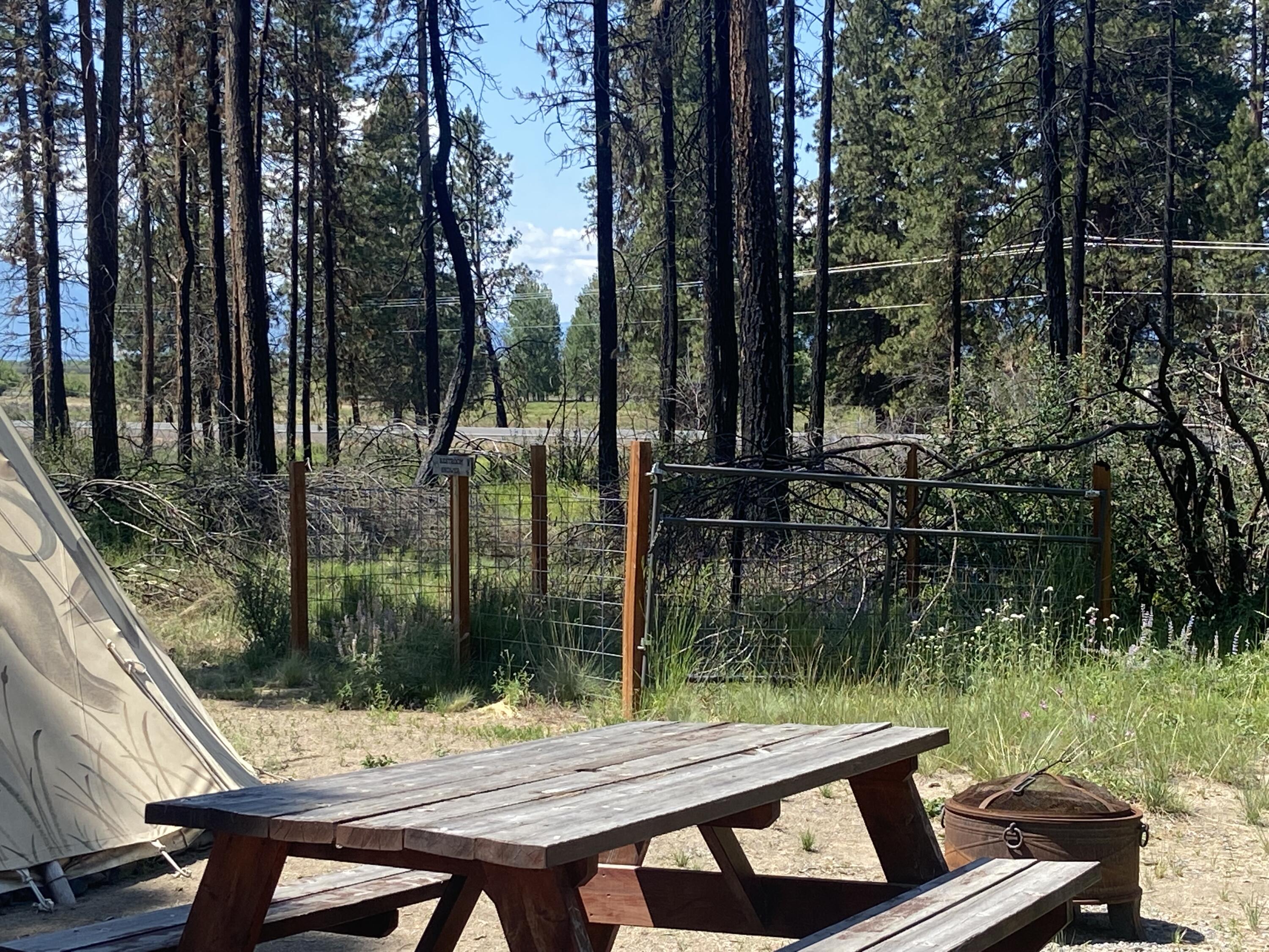 0 Oregon 62 Chiloquin, OR 97624 - Photo 23 of 42