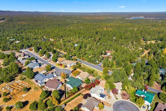 a view of city and mountain