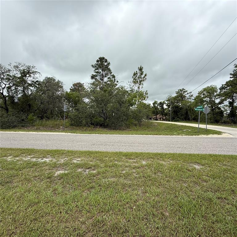 11205 Mountain Mockingbird Road Weeki Wachee, FL 34614 - Photo 2 of 2 a view of a green field