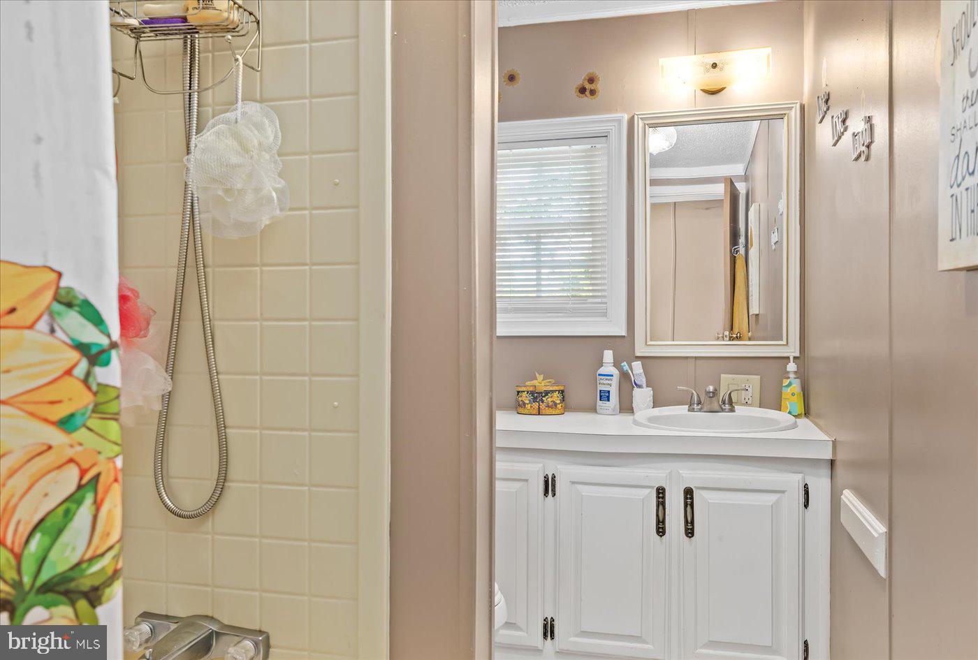 5540 Courthouse Road Spotsylvania, VA 22551 - Photo 19 of 47 Shared hall bathroom