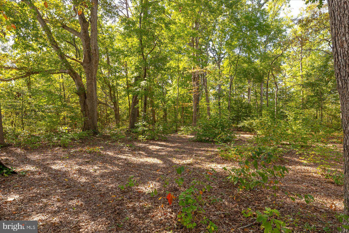 5540 Courthouse Road Spotsylvania, VA 22551 - Photo 33 of 47 Gallery Image 33