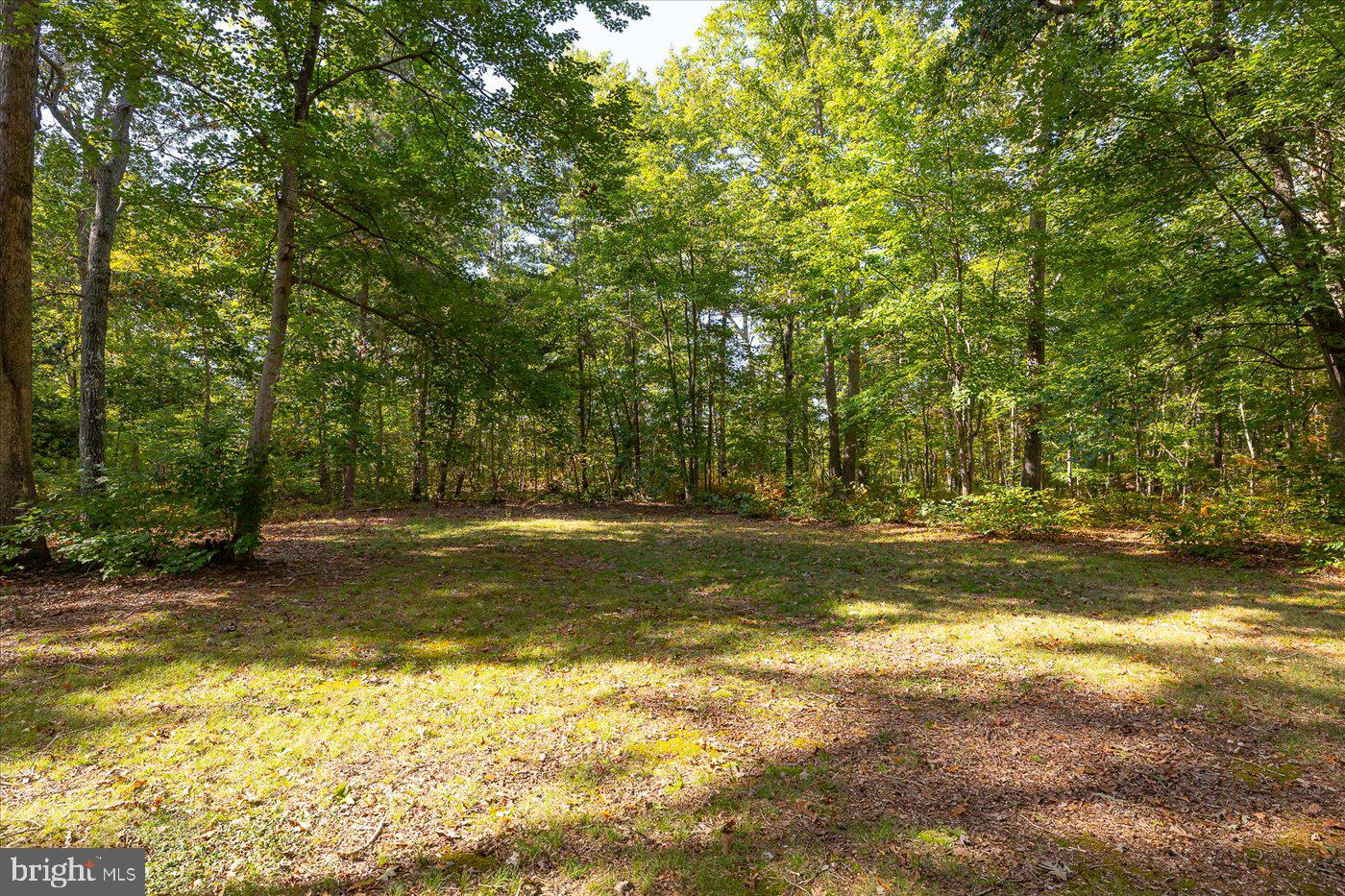 5540 Courthouse Road Spotsylvania, VA 22551 - Photo 34 of 47 Gallery Image 34