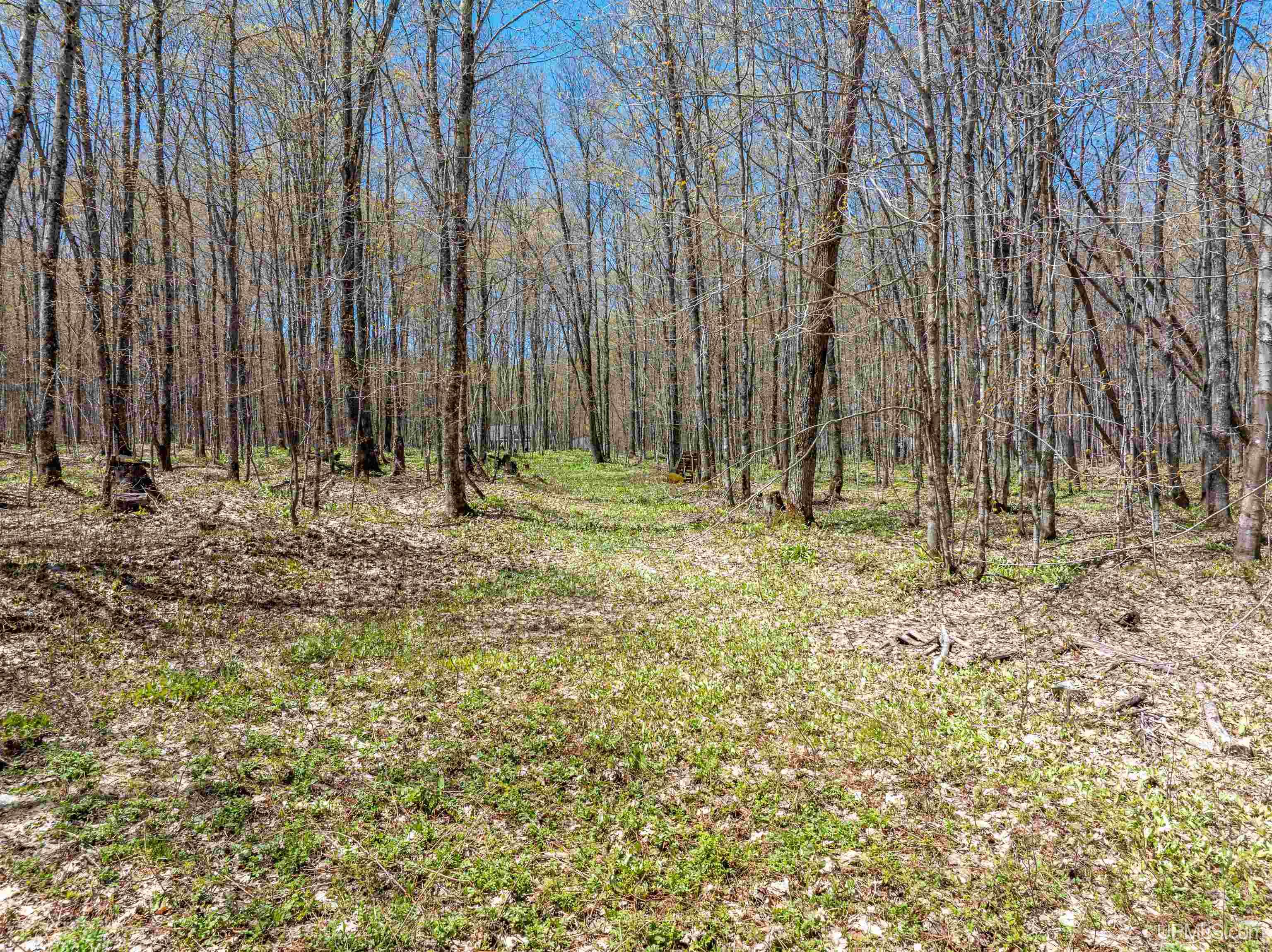 N7776 Carmody Road Munising, MI 49862 - Photo 37 of 42