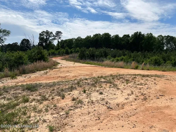 $80,000 | 0 Layton Jones Road, Mendenhall, MS 39114