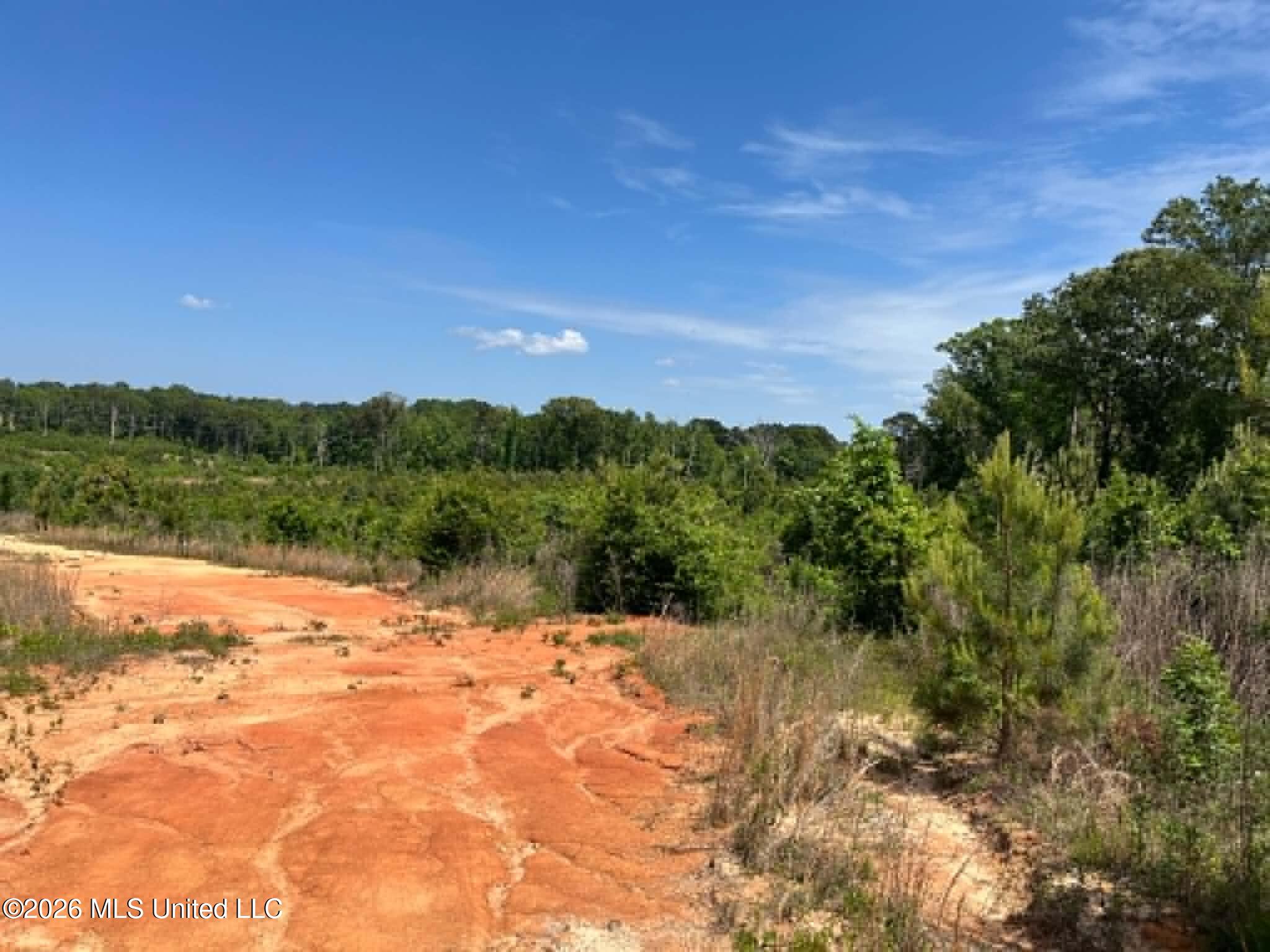 0 Layton Jones Road Mendenhall, MS 39114 - Photo 11 of 15 6380bf69-28b3-435a-a5b2-3d8de24abf45