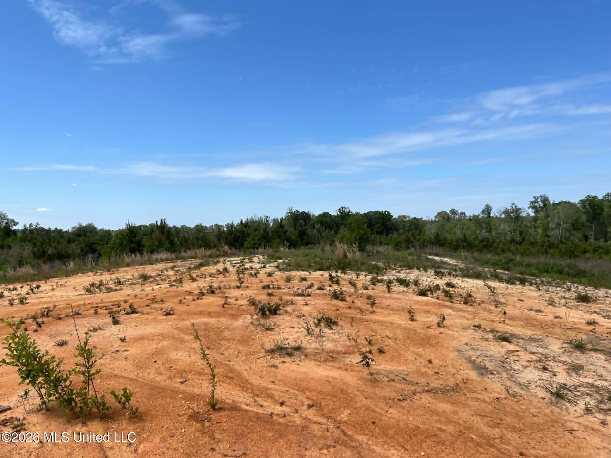 0 Layton Jones Road Mendenhall, MS 39114 - Photo 12 of 15 5d489392-c700-406e-be2d-d5bd3e52ae9b