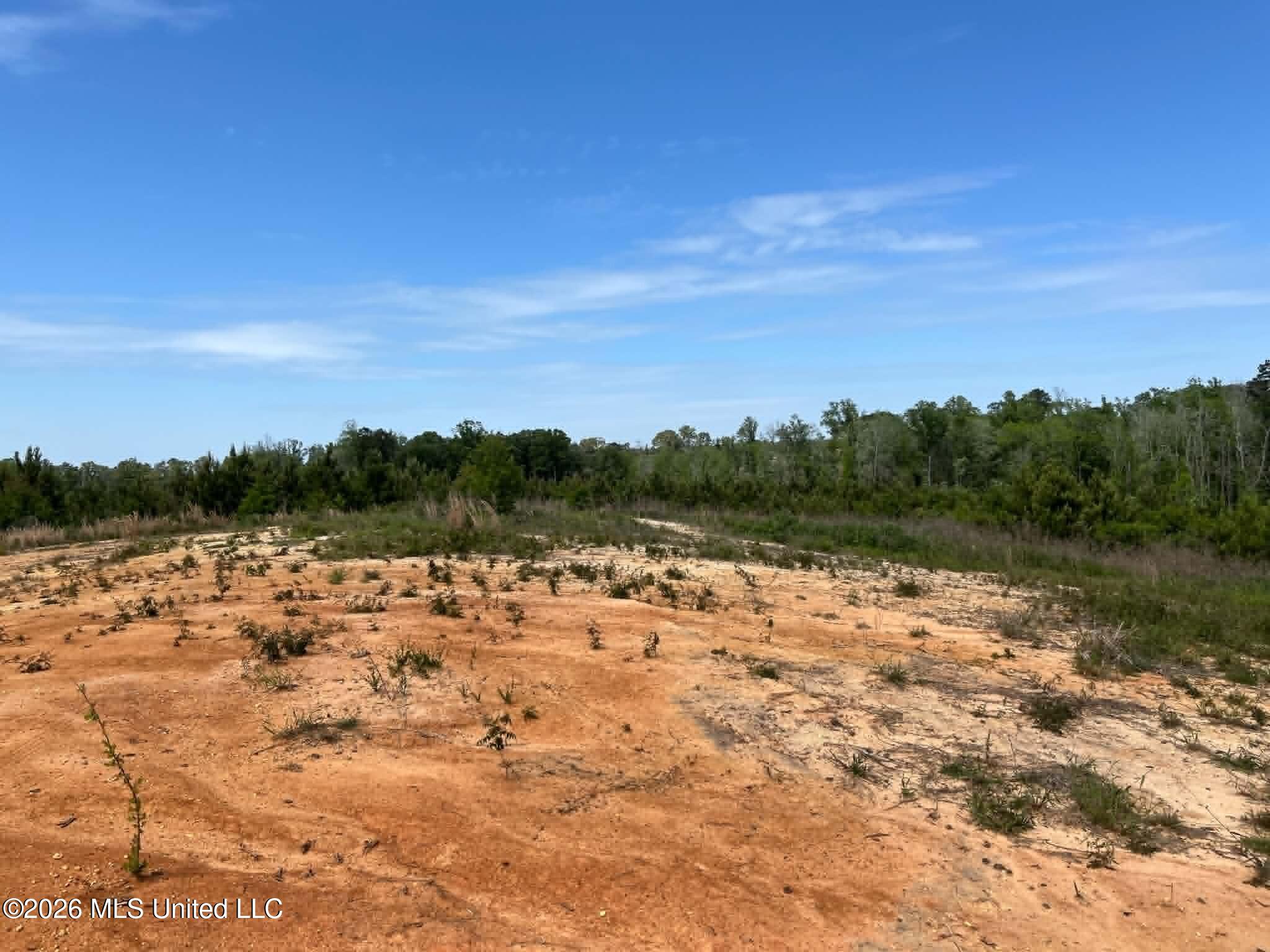 0 Layton Jones Road Mendenhall, MS 39114 - Photo 13 of 15 9f8cf8f2-9040-4f4b-8f0a-fec0aaf94851
